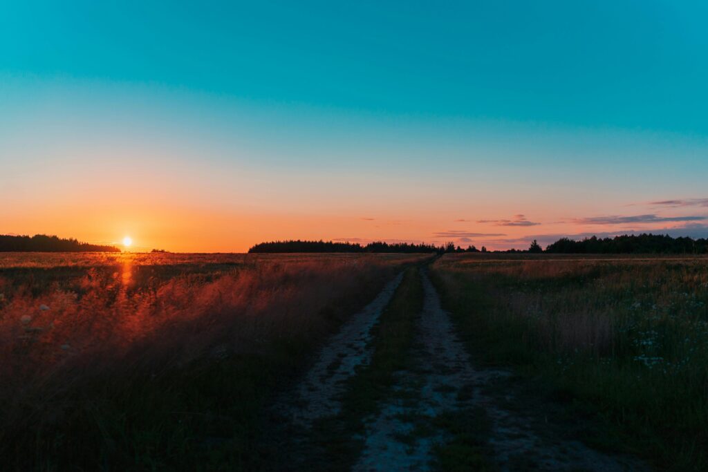Kervignac - Hennebont - Des légumes frais et de saison à Kervignac - Les paniers de Locmaria - vue des champs coucher de soleil