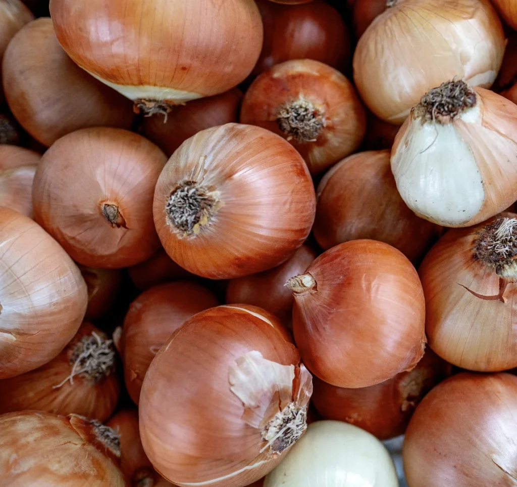Les Paniers de Locmaria - Paniers de légumes Kervignac - Hennebont - Acheter des Oignons blancs
