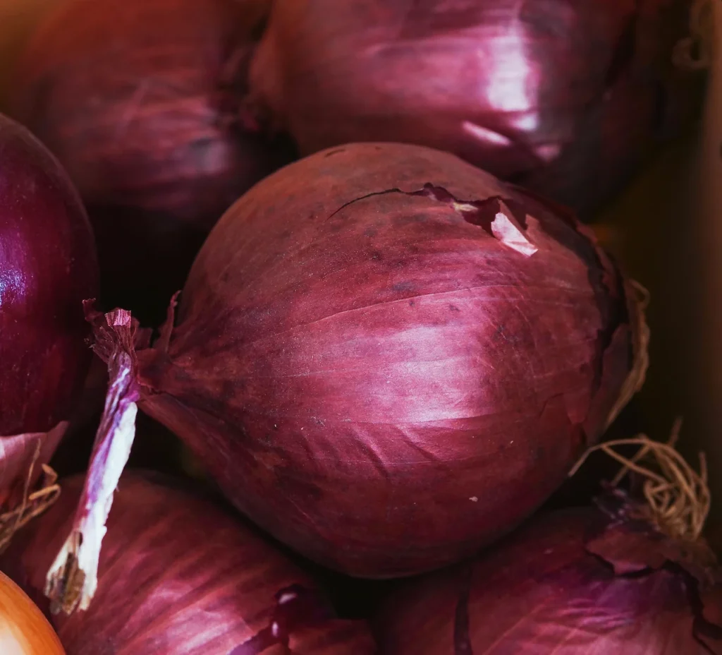 Les Paniers de Locmaria - Paniers de légumes Kervignac - Hennebont - Acheter des Oignons rouges